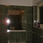 Dezelic Црес