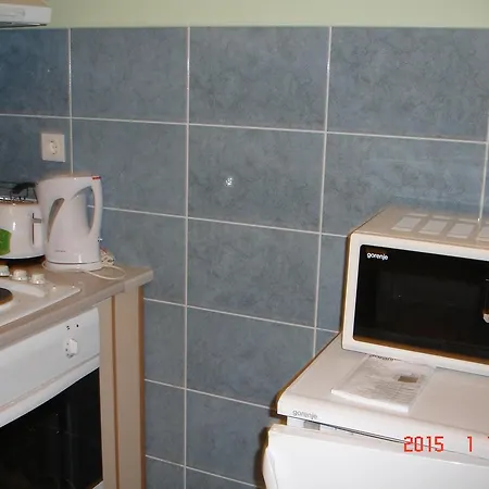 Dezelic Apartment