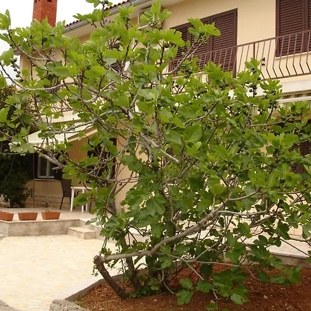 Dezelic Cres