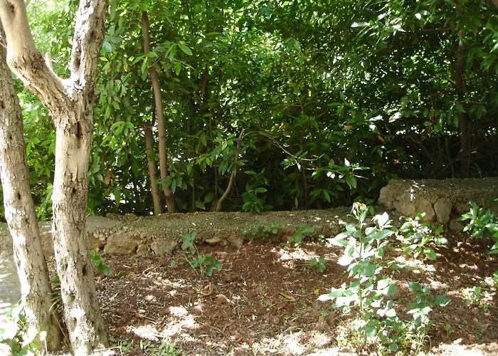 Dezelic Apartament *