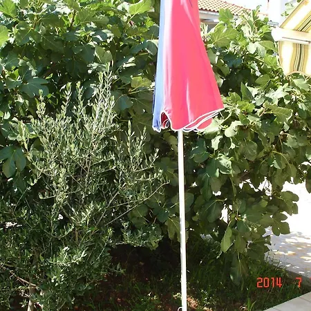 Deželić *