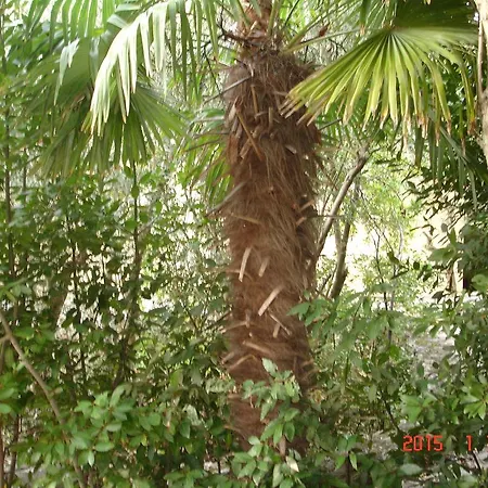 Dezelic Apartamento *