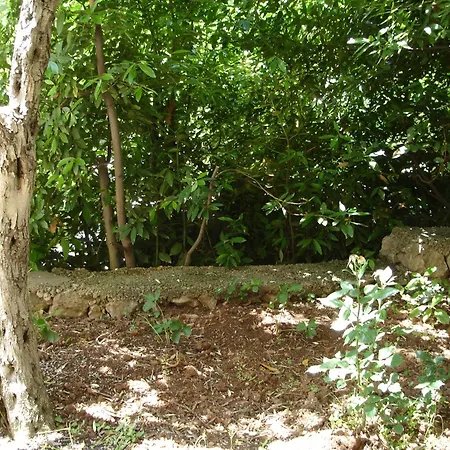 Dezelic Apartamento *